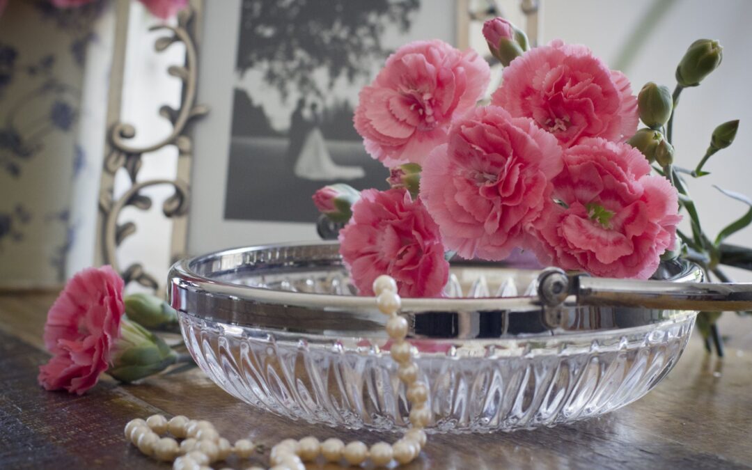 Dianthus Romance